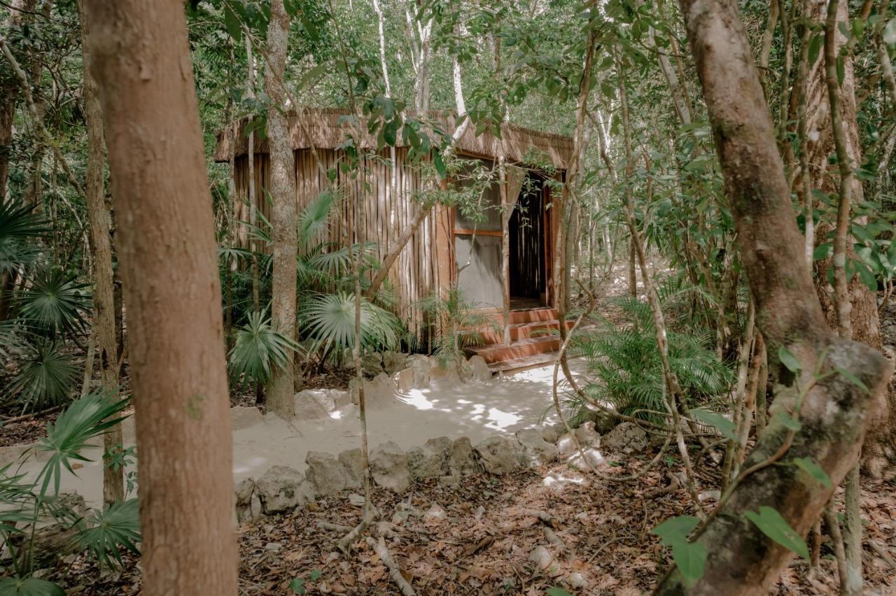 Naum - Secluded Villa With Private Cenote Tulum Exterior foto