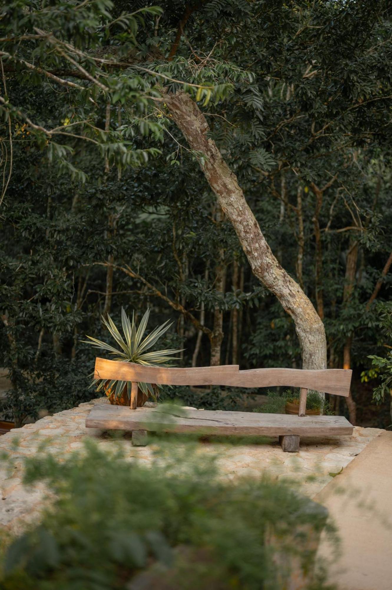 Naum - Secluded Villa With Private Cenote Tulum Exterior foto